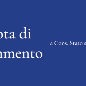 Il Consiglio di Stato interviene sul danno da ritardo per l’autorizzazione agli impianti fotovoltaici (Nota di commento a Cons. Stato sent. 7559/2024)